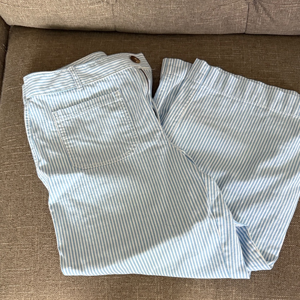 Women’s Blue Striped Pants